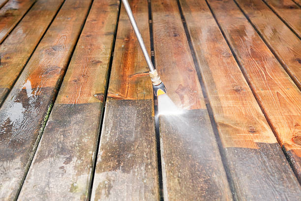 Best Roof Pressure Washing  in Shannondale, WV